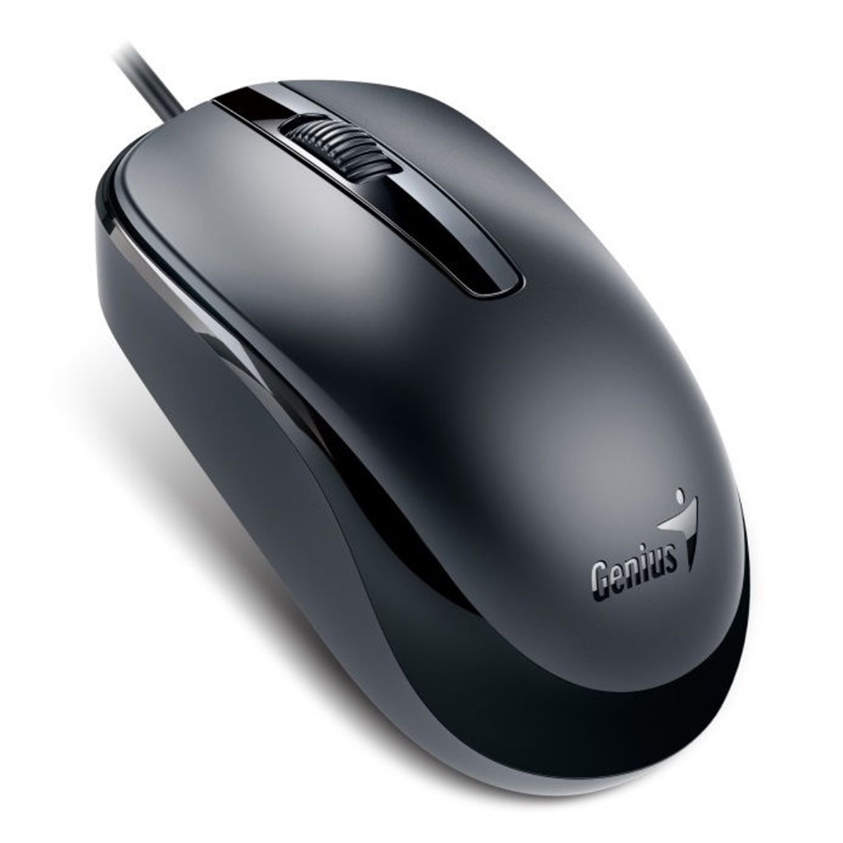Mouse Genius Dx-120 Usb Negro