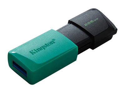Pendrive Kingston 256gb Usb 3.2 Datatraveler Exodia M – imagen 2