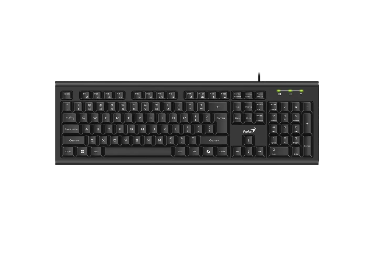 Teclado Usb Alambrico Multimedia Genius Kb-113 Negro