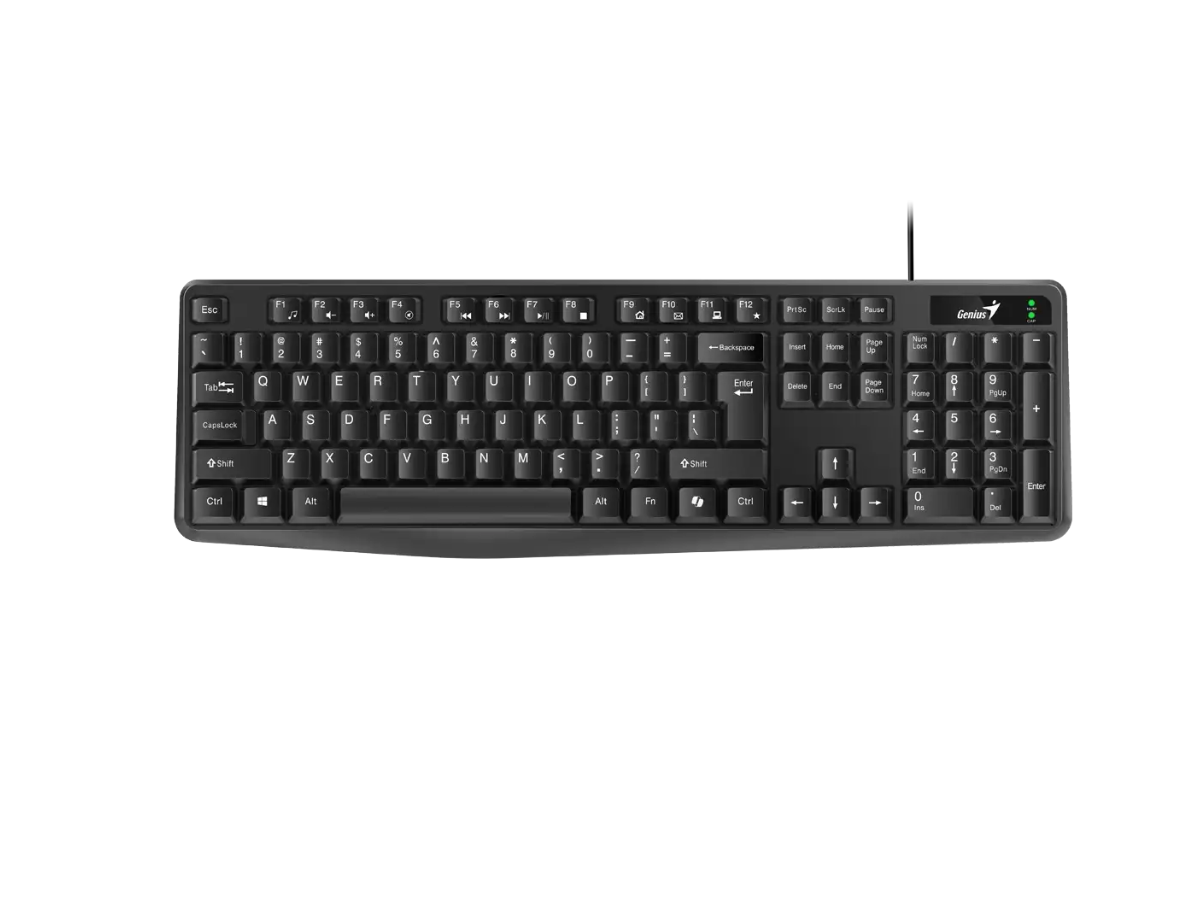 Teclado Usb Alambrico Multimedia Genius Kb-117 Negro