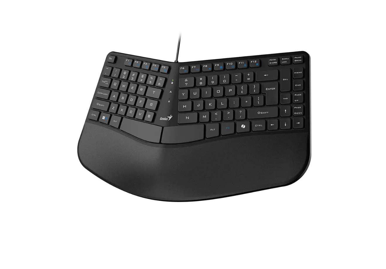Teclado Usb Copiloto Palm Rest Genius Ergo Kb-700 Negro – imagen 2