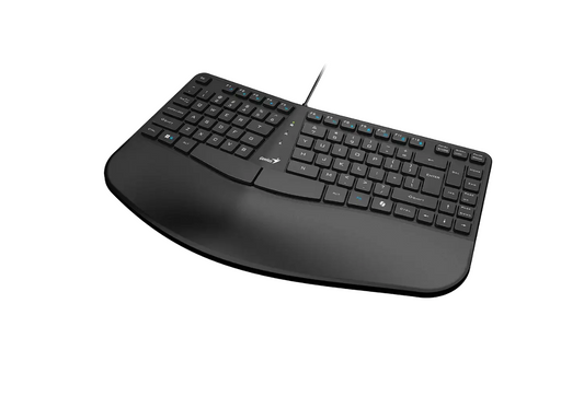 Teclado Usb Copiloto Palm Rest Genius Ergo Kb-700 Negro