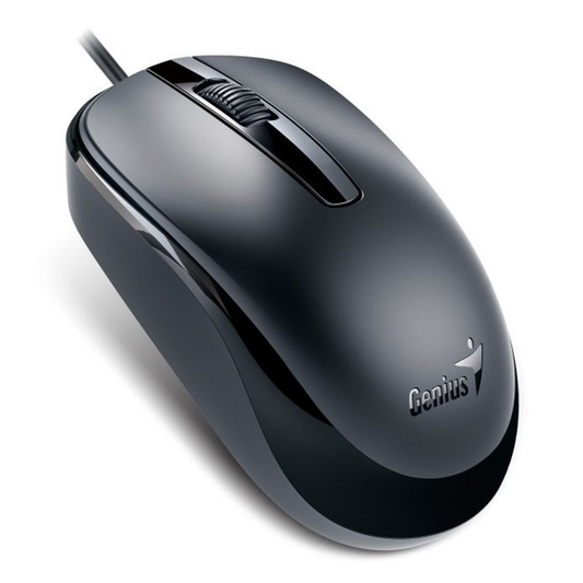 Mouse Genius Dx-120 Usb Negro