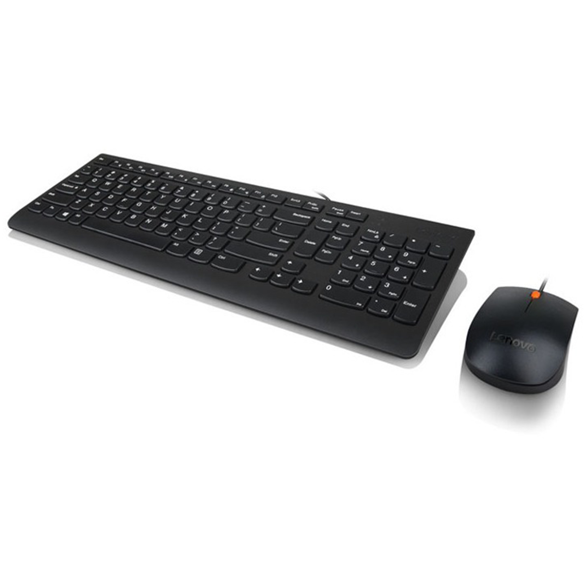 Kit Teclado y Mouse Lenovo 300 Usb Español Negro