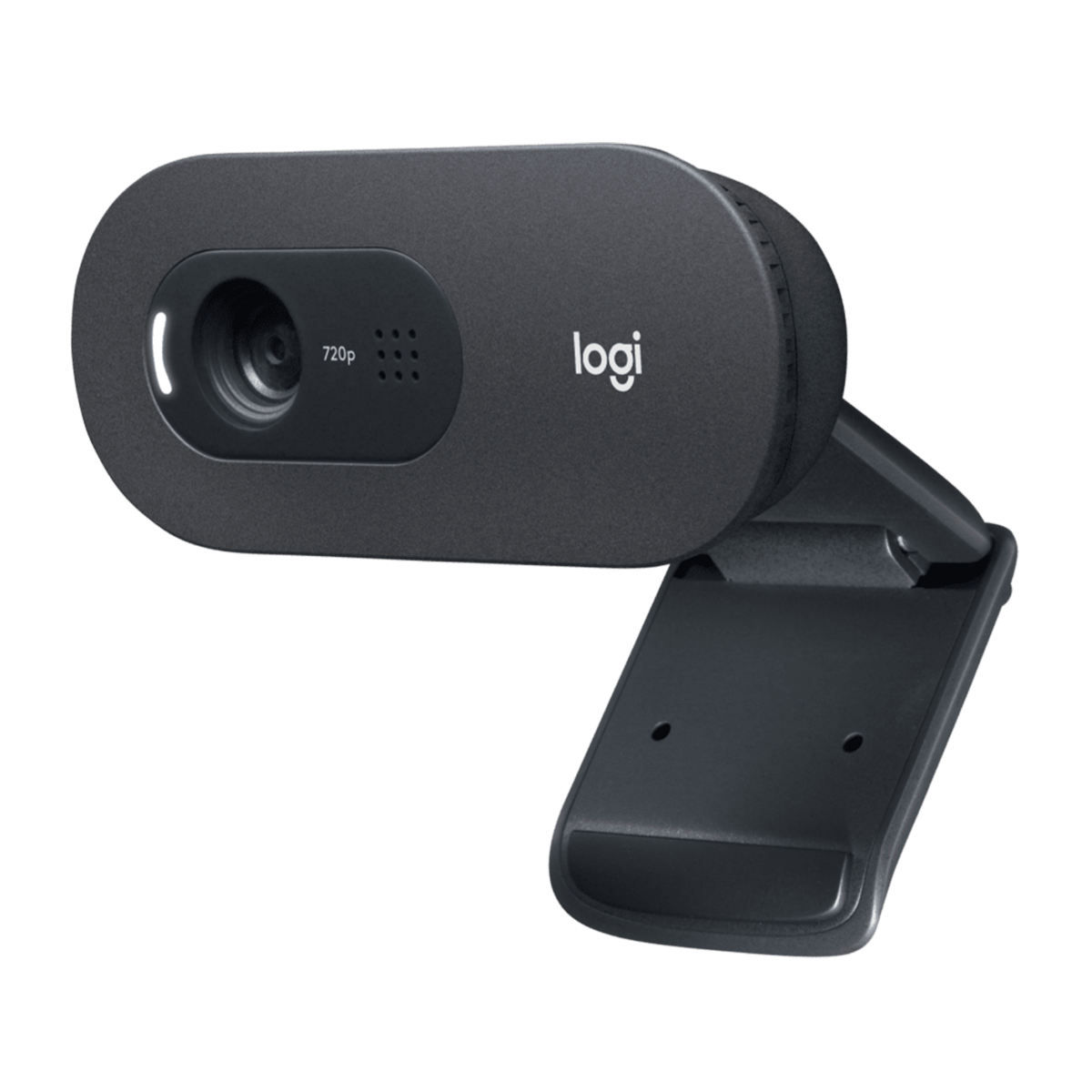 Camara Web Webcam Logitech C505e 720P HD Negro