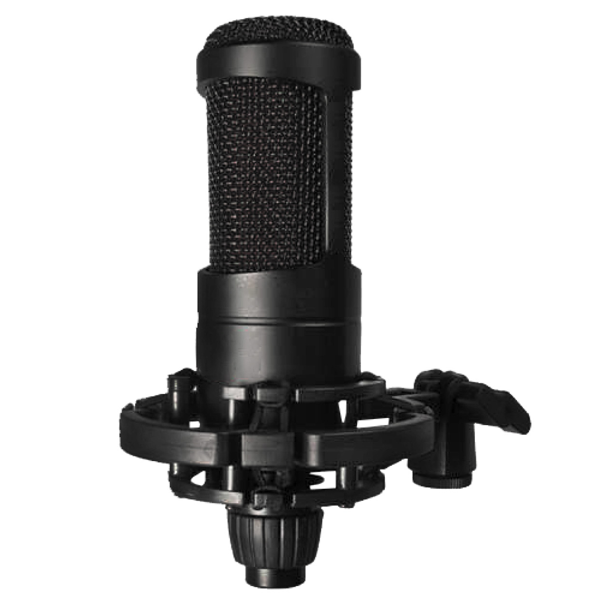 Micrófono Condensador Profesional Audiopro Ap02039 Negro