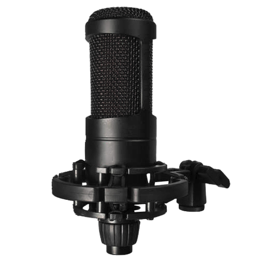 Micrófono Condensador Profesional Audiopro Ap02039 Negro