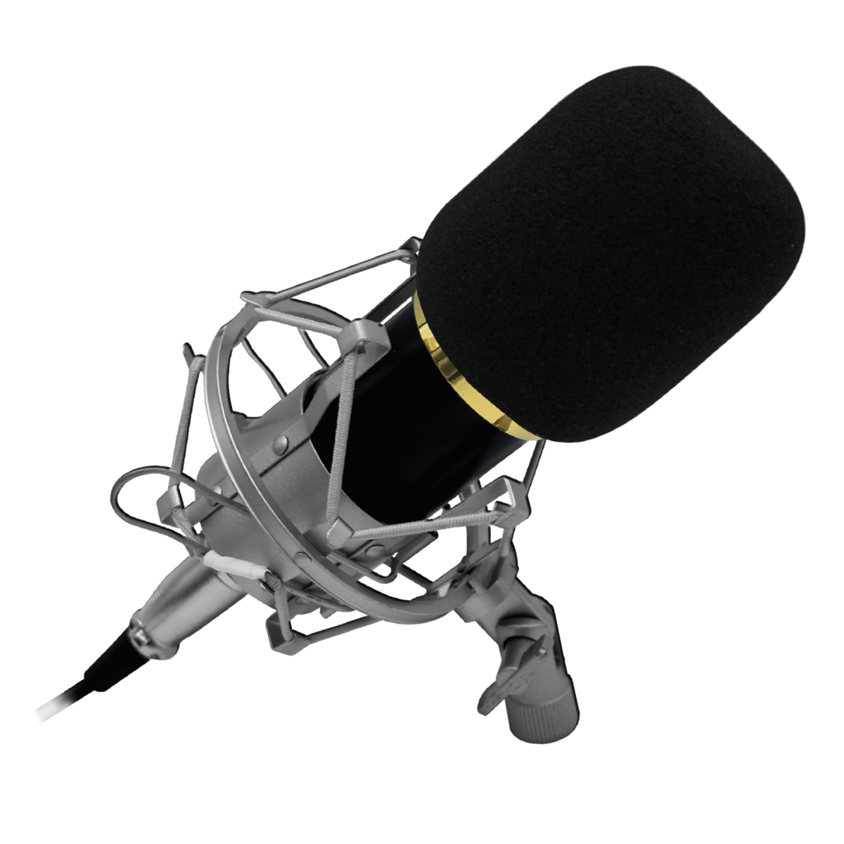 Micrófono Condensador Profesional Audiopro Ap02033 Negro