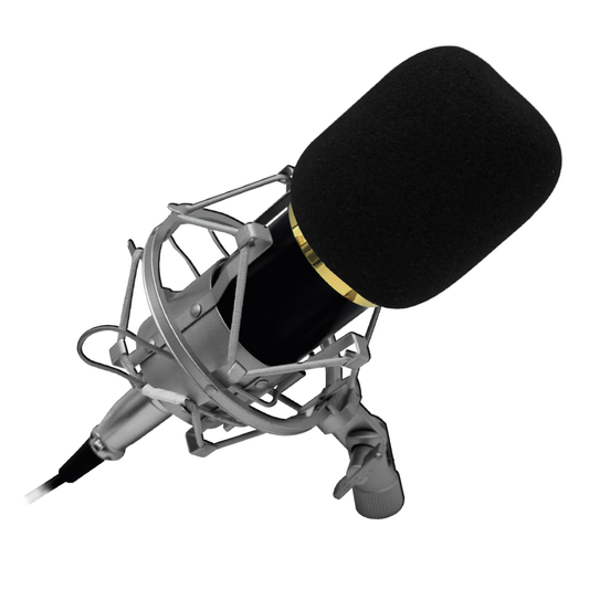 Micrófono Condensador Profesional Audiopro Ap02033 Negro