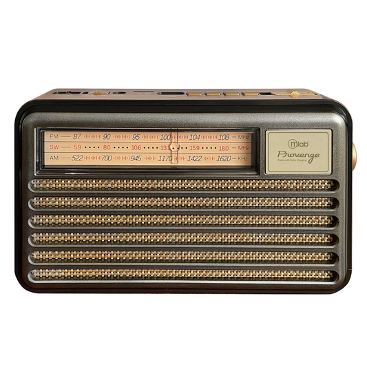 Radio Portatil Bluetooth Microlab Provenze Fm Usb Modelo 9141 Negro